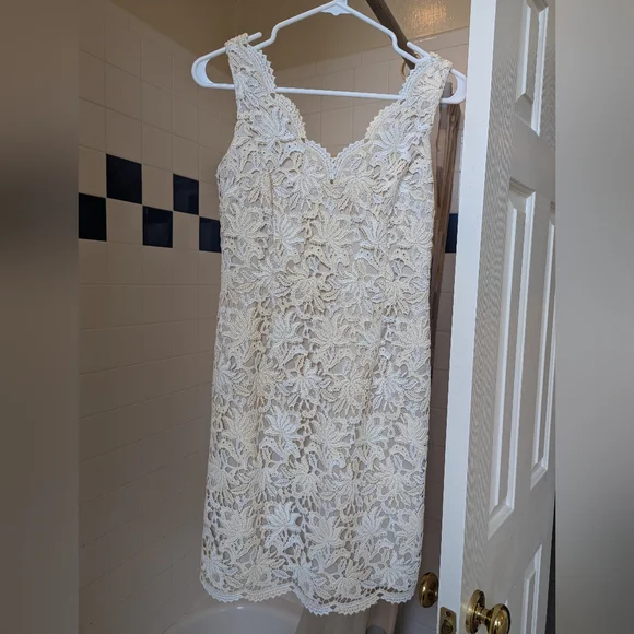 NWT Ann Taylor Sleeveless Lace Overlay Dress Cream Beige Lined Size 00P - Picture 4 of 14